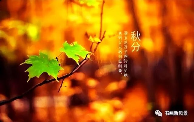 二十四节气 秋天，秋分