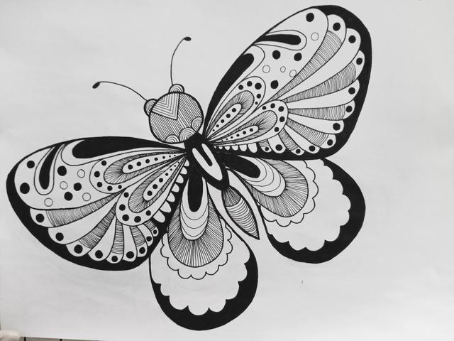 蝴蝶怎么画简单好看，如何画一个简单蝴蝶（《蝴蝶》线描画绘画过程）