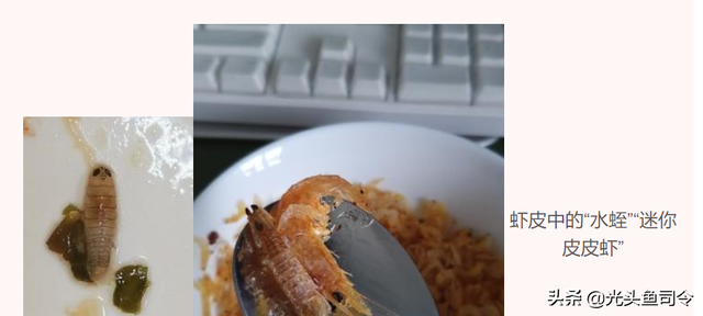 虾皮能吃吗，大虾皮可以直接吃吗（虾皮中吃出二级保护动物）