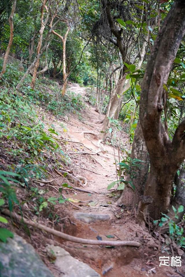 深圳徒步路线推荐，深圳海滨栈道徒步最佳路线（深圳10条徒步路线）
