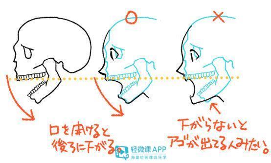 卡通牙齿是怎么画的，牙齿介绍卡通图片（漫画人物嘴巴画法技巧）