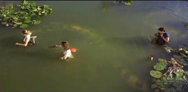 关于蛇的电影有哪几部，关于蛇的电影有哪几部分（评分最高十大怪兽电影）