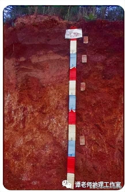 土地性质分类和用途，怎么查个人土地信息（附中国土壤的分类及分布）