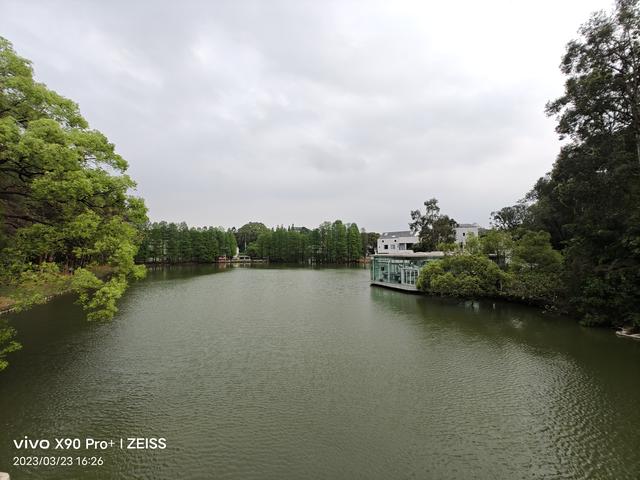 小米和vivo哪个好，小米和vivo手机优缺点对比（小米、OPPO、vivo三大拍照旗舰横评）