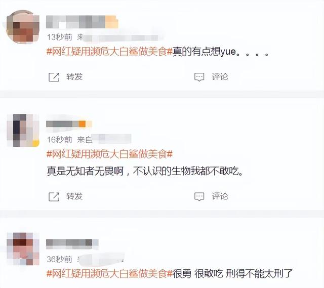 肥肥鲨，微信头像，肥肥鲨（被指吃相难看像恐怖片）