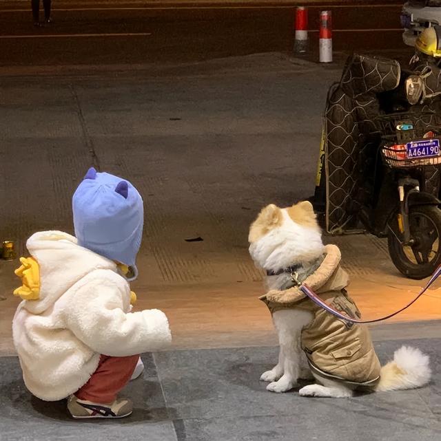 ddl是什么意思(网络语ddl是什么梗)，ddl是什么意思（拖延症脱单还得靠ddl）