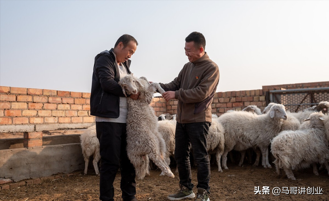 农村做什么生意赚钱(疫情过后农村做什么生意赚钱)