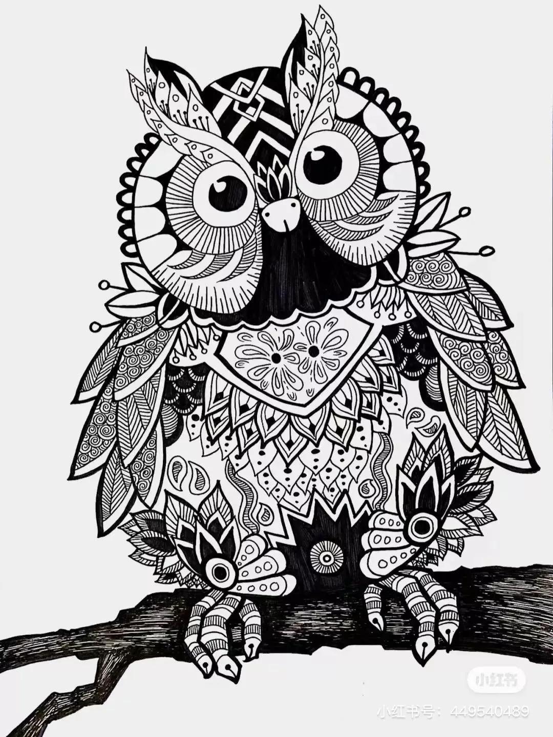 二次元人物简笔画(画动漫人物全身教程)