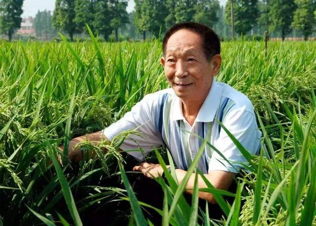 转基因技术的原理，转基因技术的特点和原理详情介绍（杂交与转基因的区别是什么）