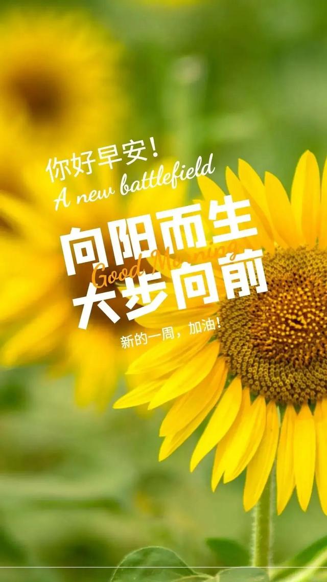 03年属什么生肖，03年属什么（2023年04月03日）
