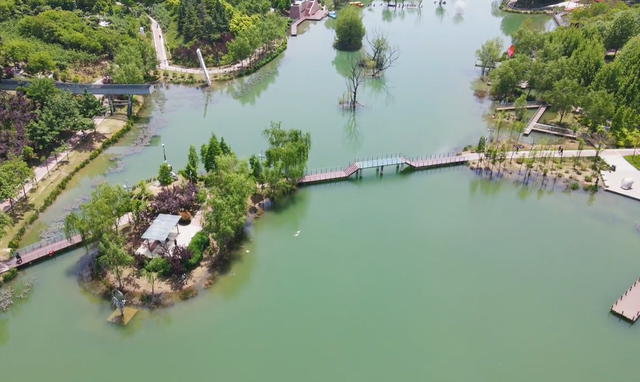 郑州周边免费景点，郑州最近免费旅游景点大全（不出郑州的8个赏花遛娃地）