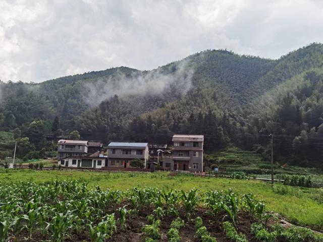 十八弯山路到景区-永州阳明山，原始密林中的避暑胜地