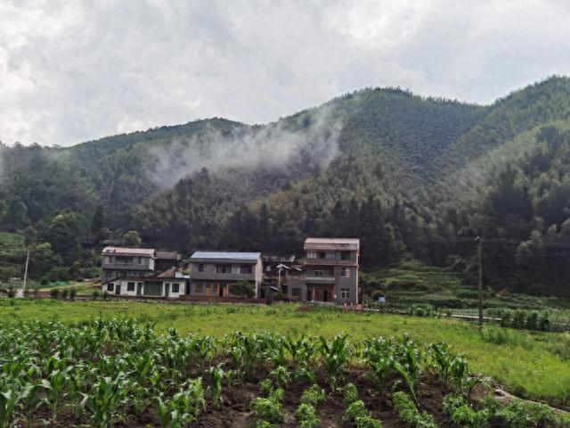 十八弯山路到景区-永州阳明山，原始密林中的避暑胜地