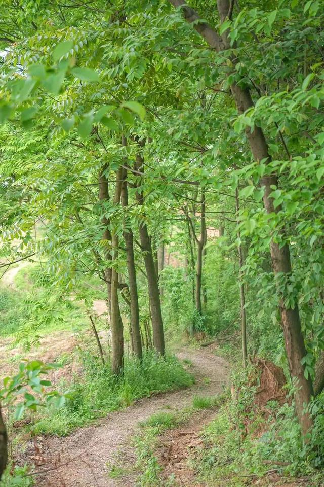 距离成都2小时小众的露营基地，成都近郊9个小众徒步露营耍水地