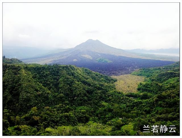 猫屎咖啡的价格，猫屎咖啡多少钱一杯（印尼巴厘岛旅游）
