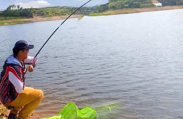 怎么钓鲢鳙，一米水深怎么钓鲢鳙（只要注意3个“铁律”）