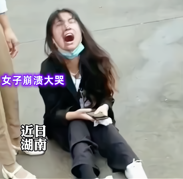 只是未到伤心处，只是未到伤心处的上一句是什么（湖南一女子因为狗狗走丢崩溃大哭）