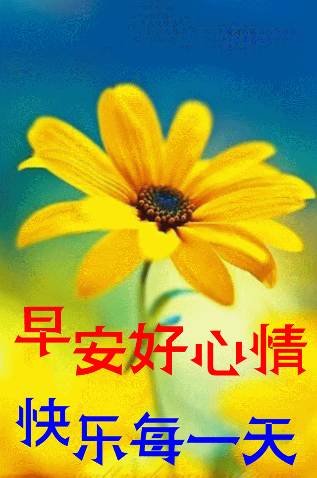 未来可期的唯美句子，未来可期下一句怎么接（早安祝您安康快乐）