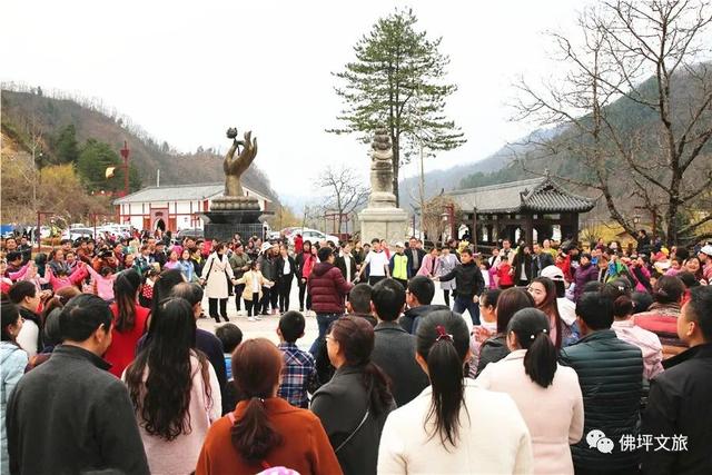 茱萸花怎么画，植物茱萸怎么画（2022佛坪“茱萸花海踏春游”活动即将启幕）