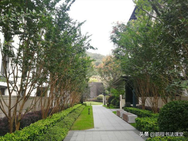 梦见植物是什么征兆，干货丨植物寓意篇
