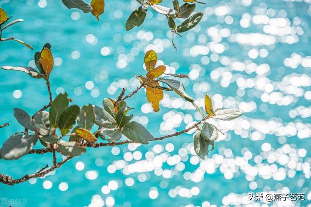 关于立春的经典诗，关于立春的经典古诗（开启诗情画意的一年）