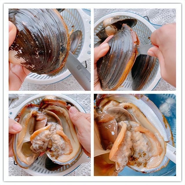 爆炒河蚌的做法，爆炒河蚌肉的做法（4月必吃的一种河鲜）