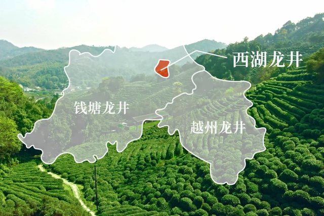 绿茶有哪些品种，红茶有哪些品种（中国的5大名茶是哪些）