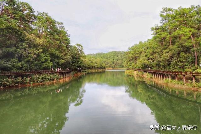 普洱市旅游景点大全，云南普洱有什么景区（发现一个适合发呆放空的好地方）