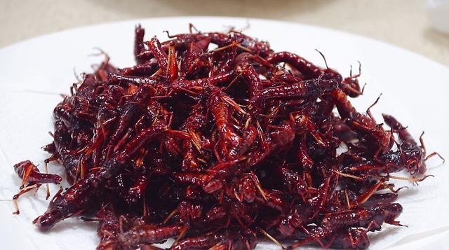 蚂蚱怎么做好吃（吃牛羊肉不如多吃这虫子）