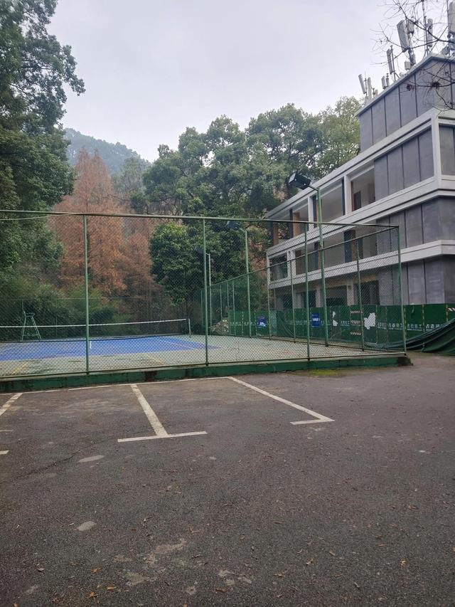 歌乐山森林公园，重庆旅游必去景点（歌乐山国家森林公园）