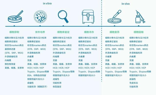 esab2286账户全部冻结是什么意思，银行卡全部冻结是什么意思（实时荧光PCR检测系统）