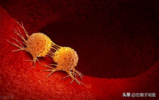 干山楂片泡水的功效，山楂不仅能降压降脂，还能抗癌