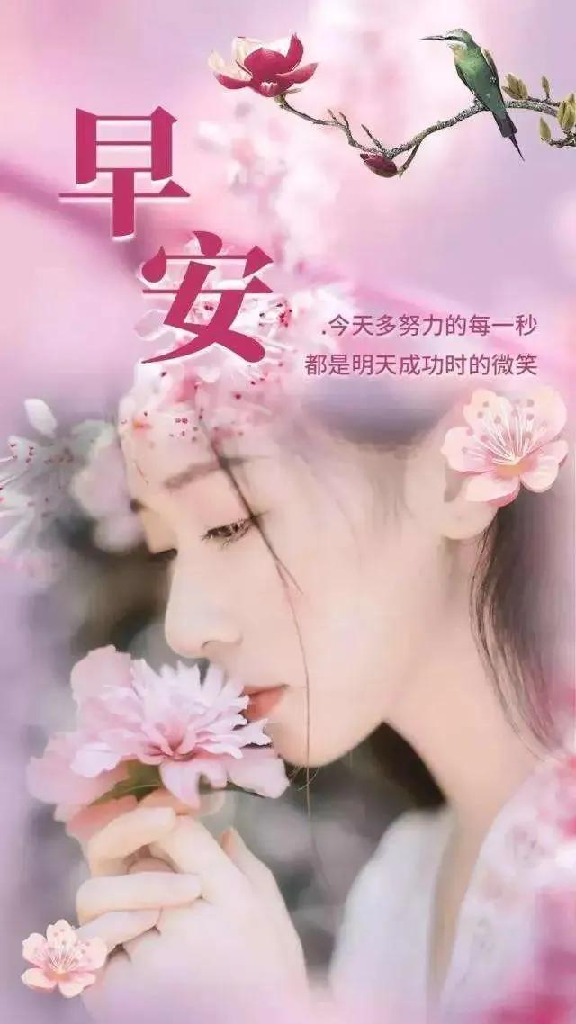 励志早安心语正能量，每天励志正能量早安语（正能量生活语录句子）