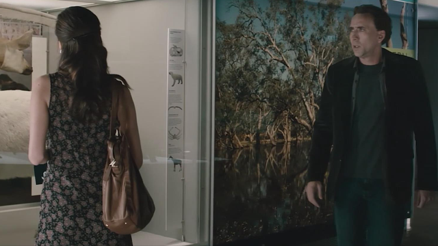 《神秘代码》这部电影的结局什么意思，神秘代码 电影简介（假如知道世界将要毁灭）