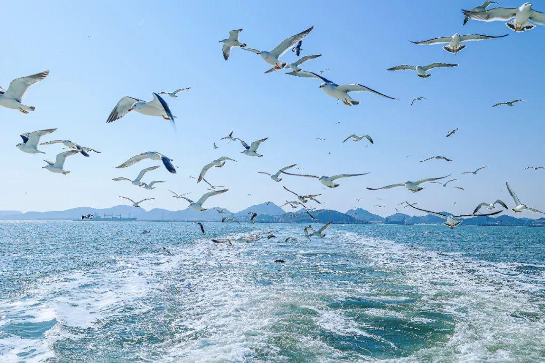 荣成风景区有哪些，荣成周边景点（来荣成这些打卡景区景点采撷好春光）