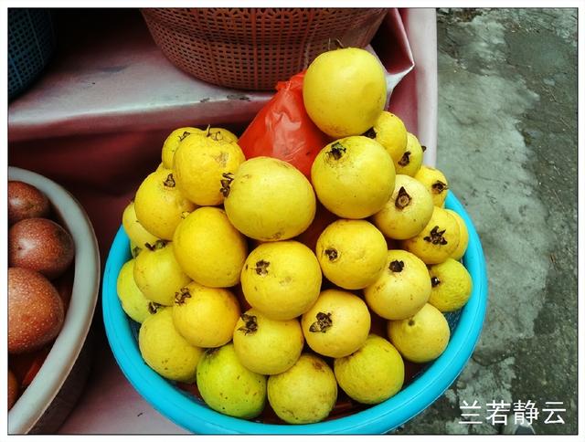 猫屎咖啡的价格，猫屎咖啡多少钱一杯（印尼巴厘岛旅游）