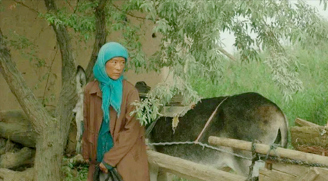 秋天的命运演员表，夏妍的秋天演员表（“西北宇宙”又打出一副王炸）