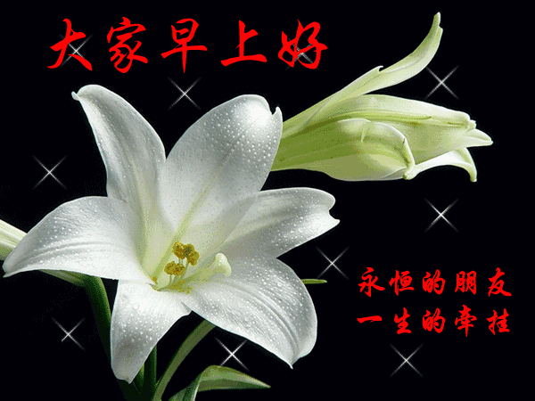 最真诚的祝福语，朋友最真诚的祝福语（十全十美的温馨祝福语送给朋友们）