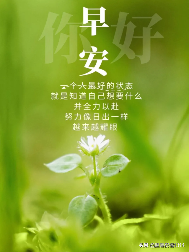 祝福语句简短唯美8个字，简短祝福语八个字（4月2日最漂亮的早上好温馨祝福语短句）