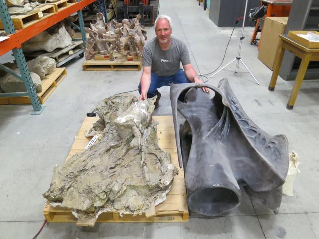 身体最长的恐龙是，身体最宽的恐龙（恐龙的体型为什么那么大）