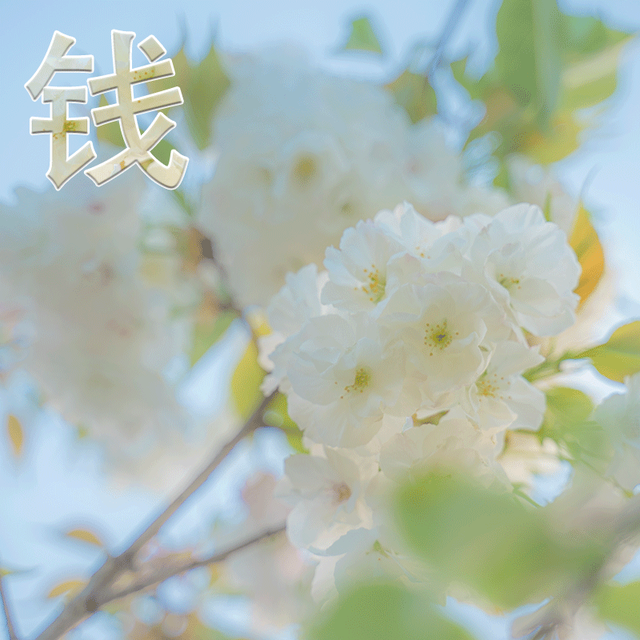 思考人生人生是你，微信头像，思考人生人生是你（成功的路上有门必修课叫孤独、积极思考造就积极人生）