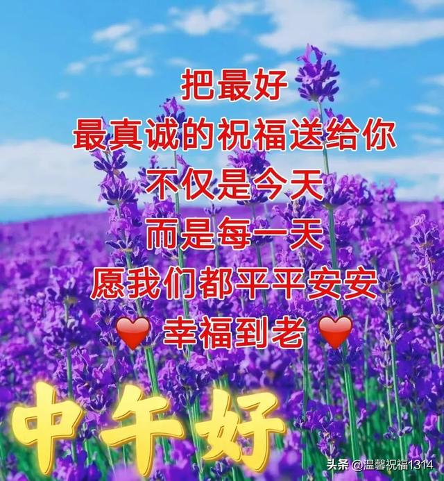 岁月静好短句八个字，岁月静好的唯美八字短句（6月7日早安问候）