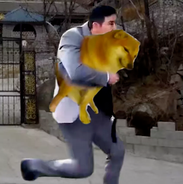 可达鸭是什么梗，可达鸭是什么梗图片（2022年近期热梗）