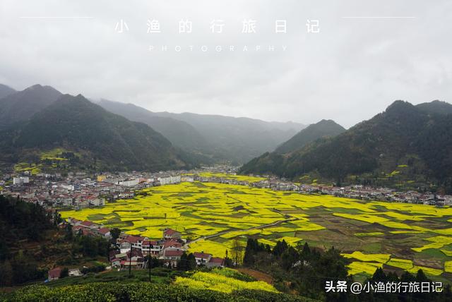 万亩油菜花海游玩攻略，奔赴川陕交界的巴山秘境
