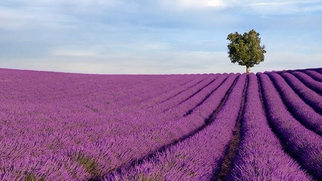 法国有什么特产，法国有什么特产好吃（盘点去法国旅行必去的八大景点）
