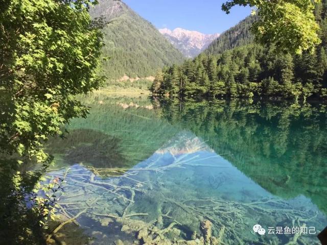 九寨归来不看水，九寨归来不看水的意思（黄山归来不看岳,九寨归来不看水的意思）