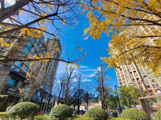 世界十大奢侈品，世界十大奢侈品牌鞋子（世界十大奢侈品手表排名）