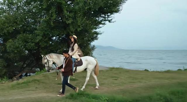 刘亦菲演过的电影，来看看刘亦菲全素颜出演的电影（从《梦华录》到《去有风的地方》）