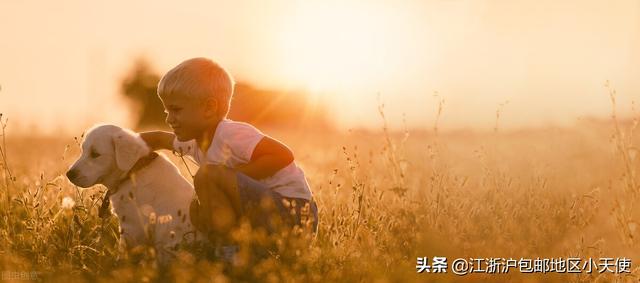 凰权结局，凰权结局是什么（一大波口碑炸裂的言情文）