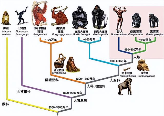 地球形成的故事，地球的故事（那第一个男人和女人是怎么诞生的）